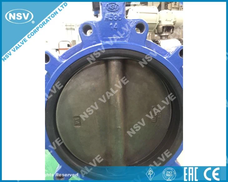 Hastelloy C22 Butterfly Valve