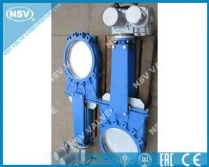 電動アクチュエータゲートバルブ