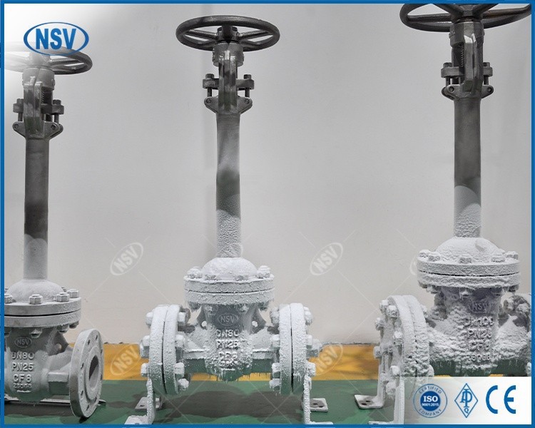 Cryogenic Cast Gate Valve high quality