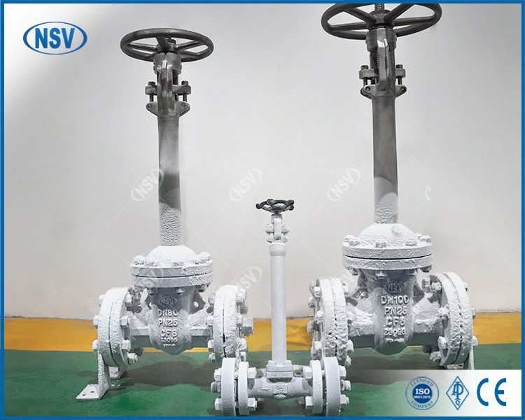 Cryogenic Cast Gate Valve best